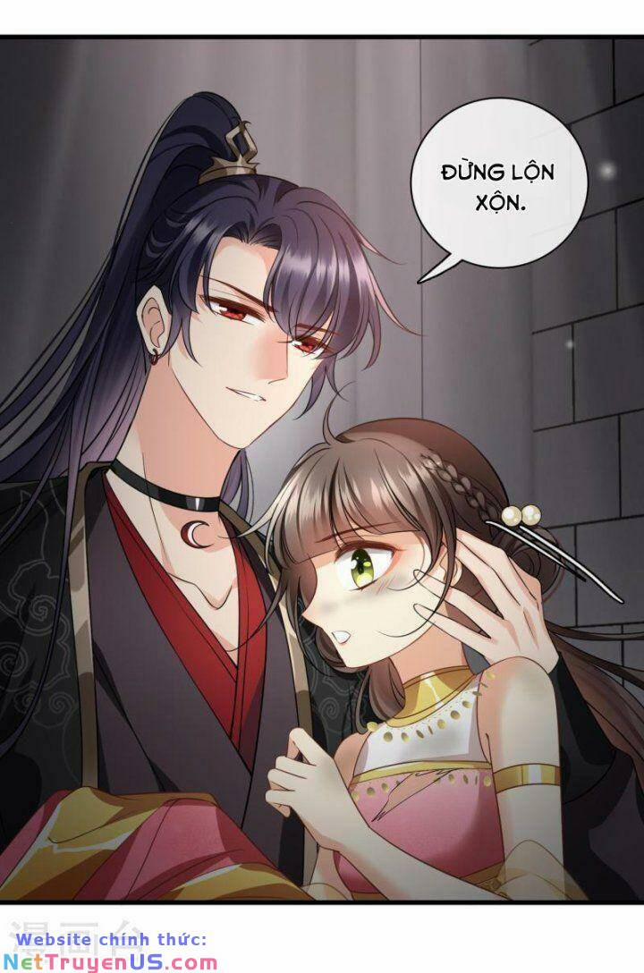 Nụ Cười Của Nàng Liền Ngọt Đảo Ta Tám Viên Nha 56 trang 4