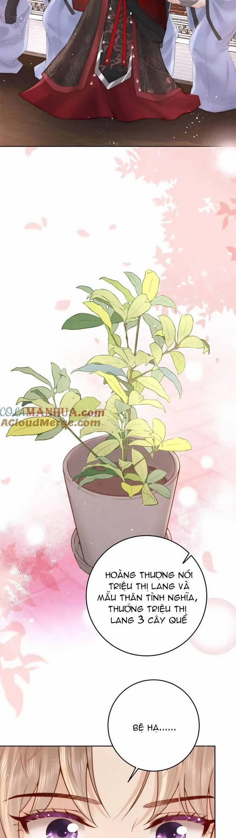 Nữ Đế Và Dàn Hậu Cung Siêu Phẩm 26 trang 19