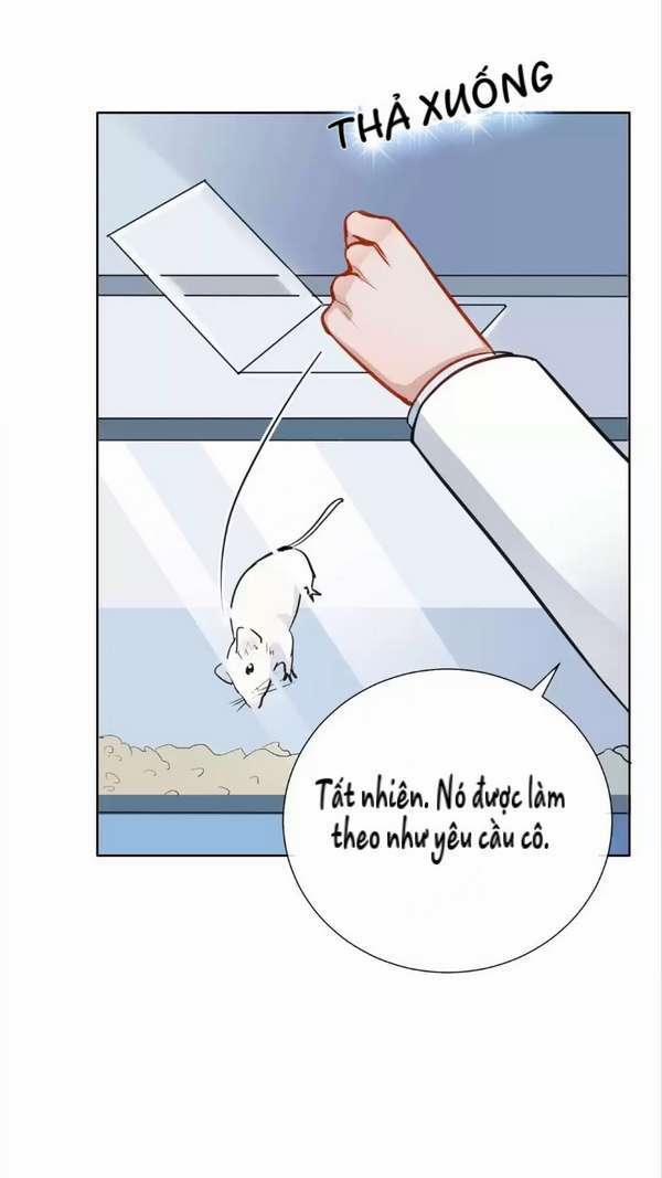 Nữ Hoàng Nửa Mặt 10 trang 19