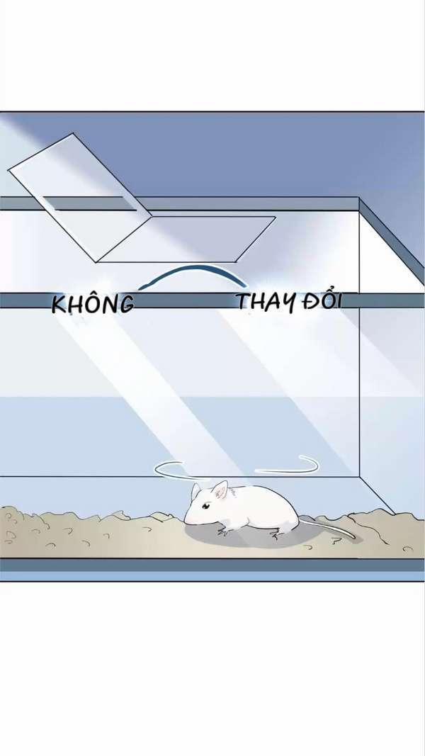 Nữ Hoàng Nửa Mặt 10 trang 20