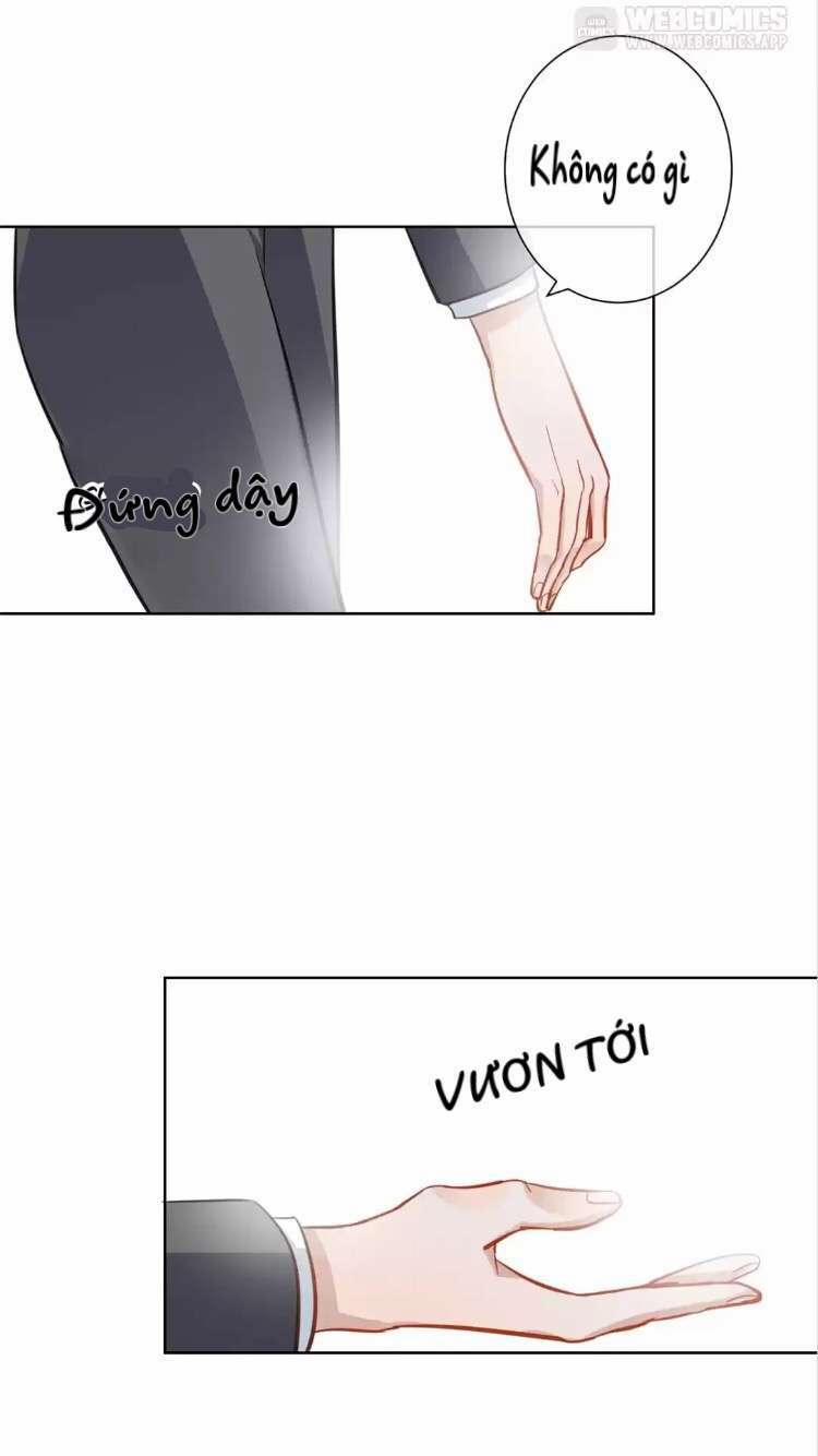 Nữ Hoàng Nửa Mặt 8 trang 27