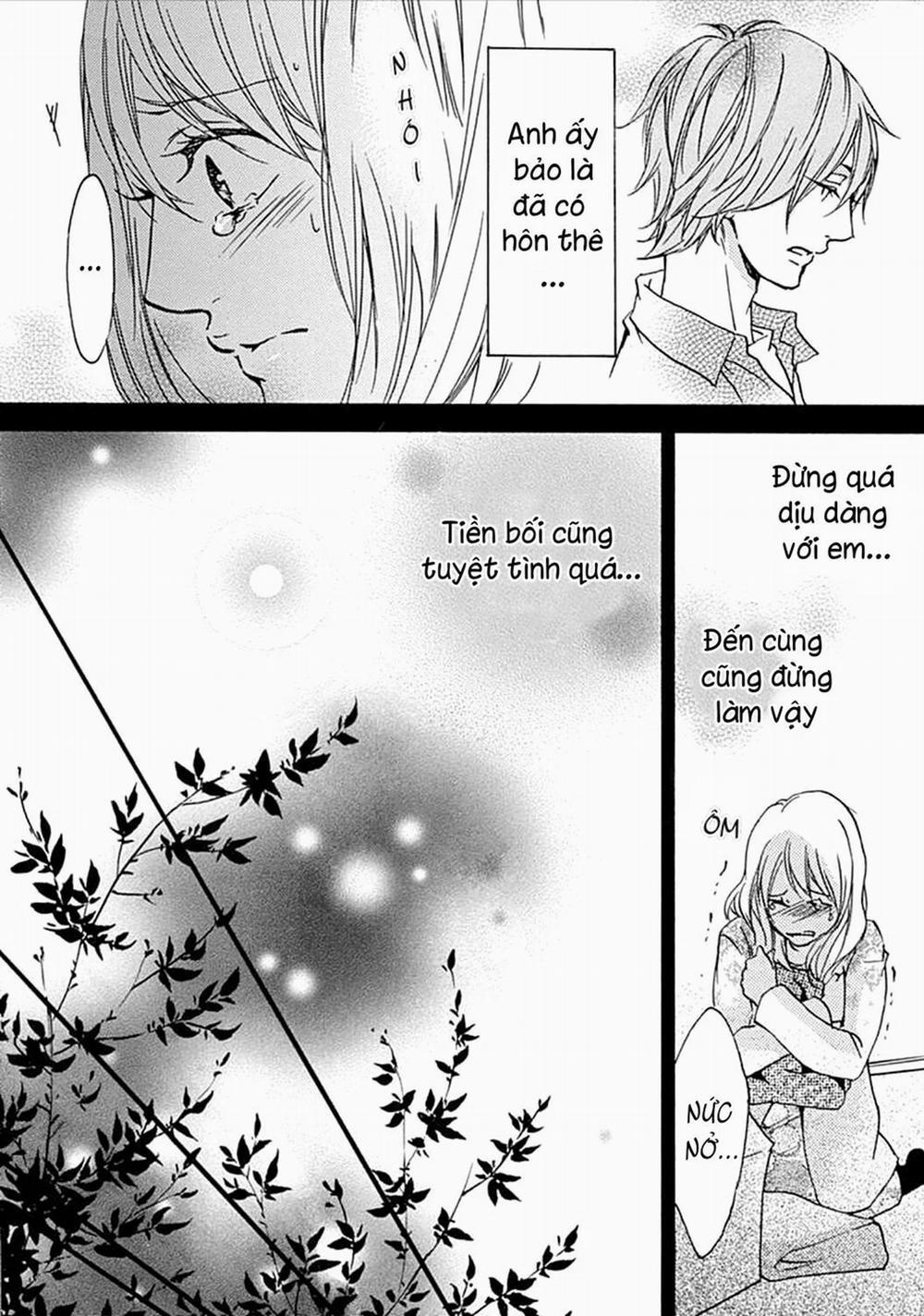 Nụ Hôn Bắt Đầu 12 trang 21