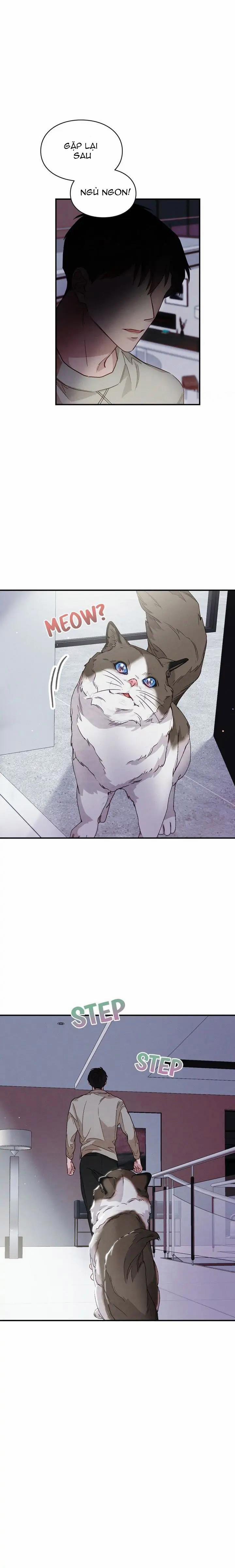 Nụ Hôn Lúc Bình Minh Ở Tiffany 18.2 trang 11