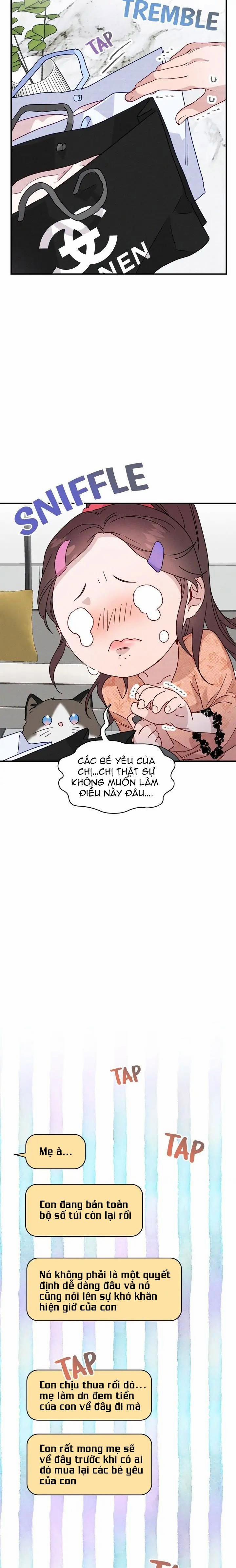 Nụ Hôn Lúc Bình Minh Ở Tiffany 21.1 trang 14