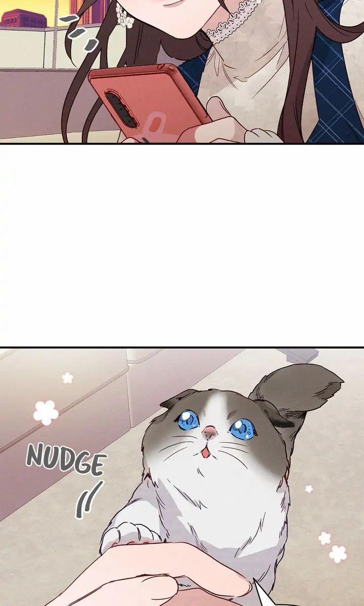 Nụ Hôn Lúc Bình Minh Ở Tiffany 3.2 trang 55