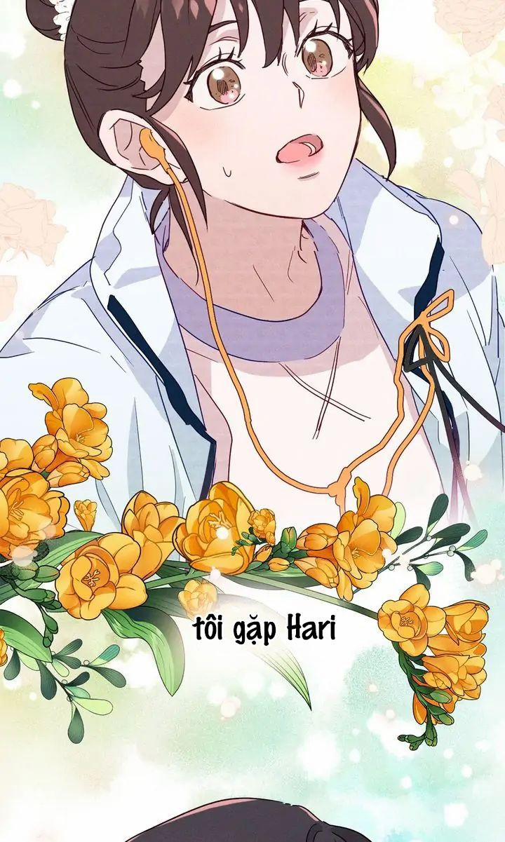 Nụ Hôn Lúc Bình Minh Ở Tiffany 4.1 trang 28