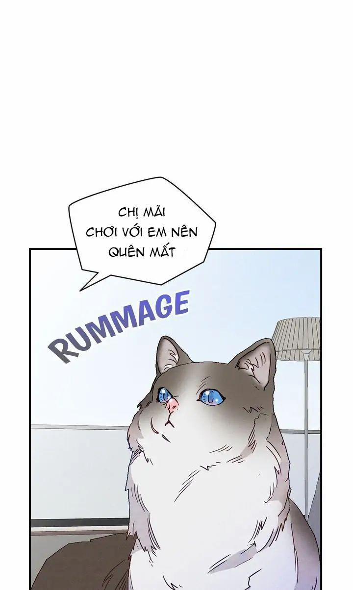 Nụ Hôn Lúc Bình Minh Ở Tiffany 6.1 trang 22