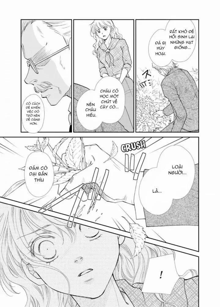 Nụ Hôn Ngọt Ngào Trên Đóa Hồng Đêm 5.2 trang 17