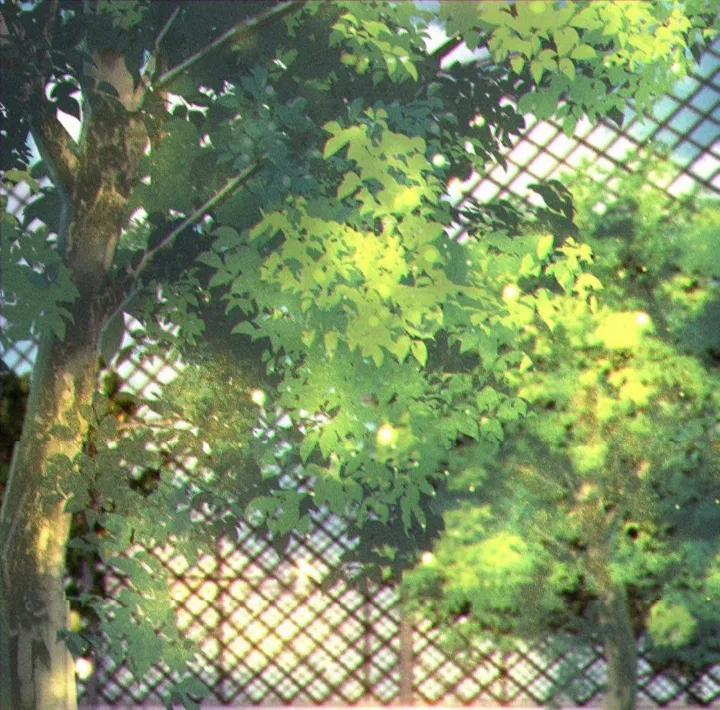 Nụ Hôn Nhẹ Nhàng Lên Đóa Hoa Tuyệt Vọng 5 trang 29