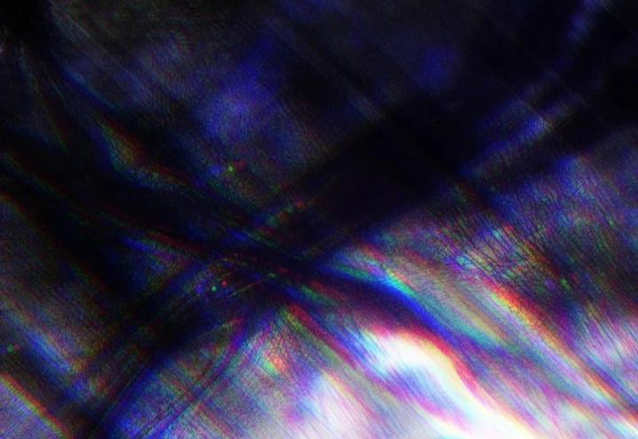 Nụ Hôn Nhẹ Nhàng Lên Đóa Hoa Tuyệt Vọng 7 trang 15