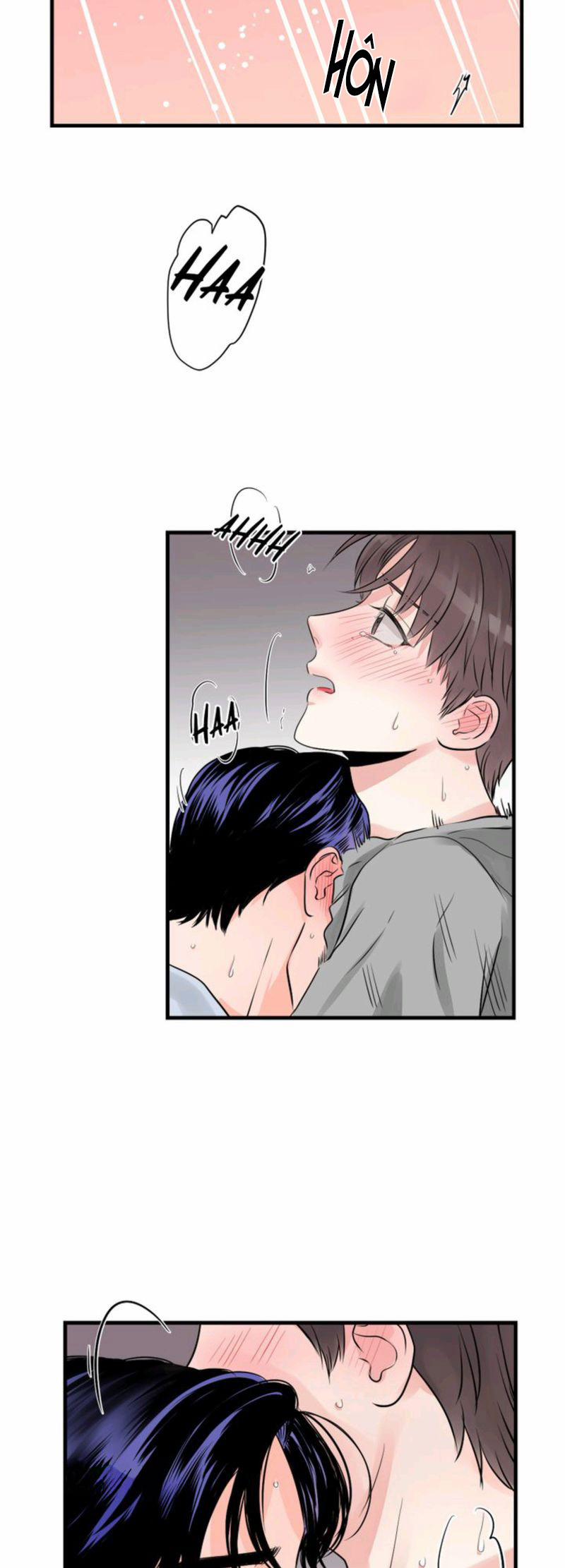 Nụ Hôn Quyến Rũ 12 trang 6