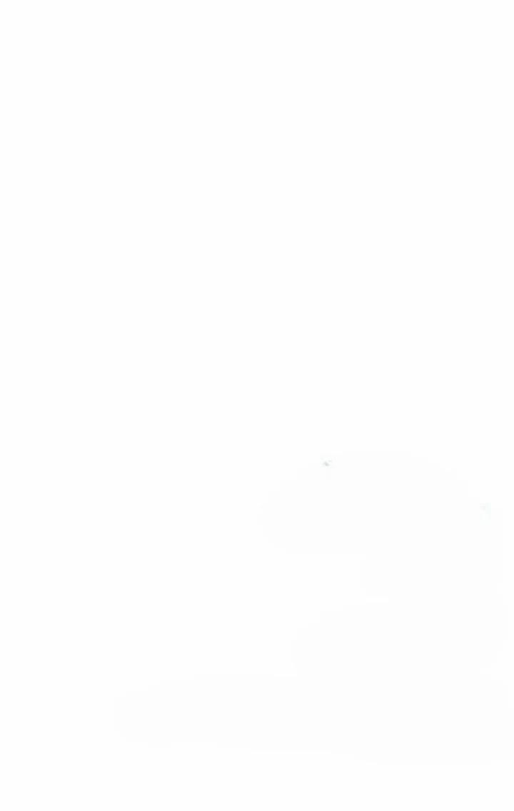 Nụ Hôn Quyến Rũ 36 trang 44