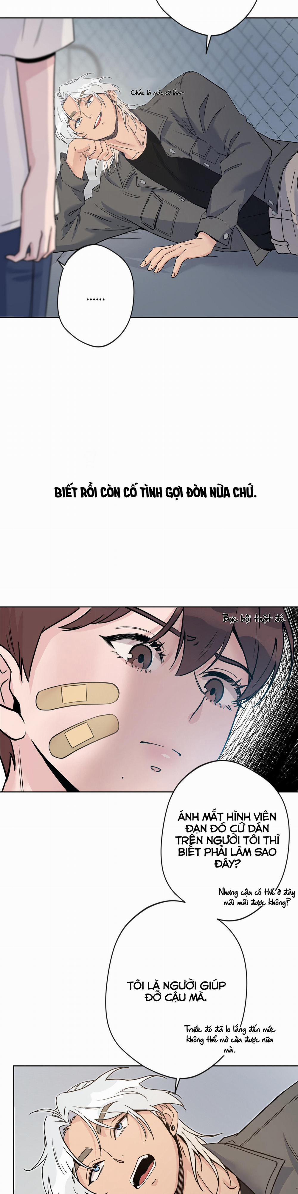 Nụ Hôn Thiên Thần 4 trang 21