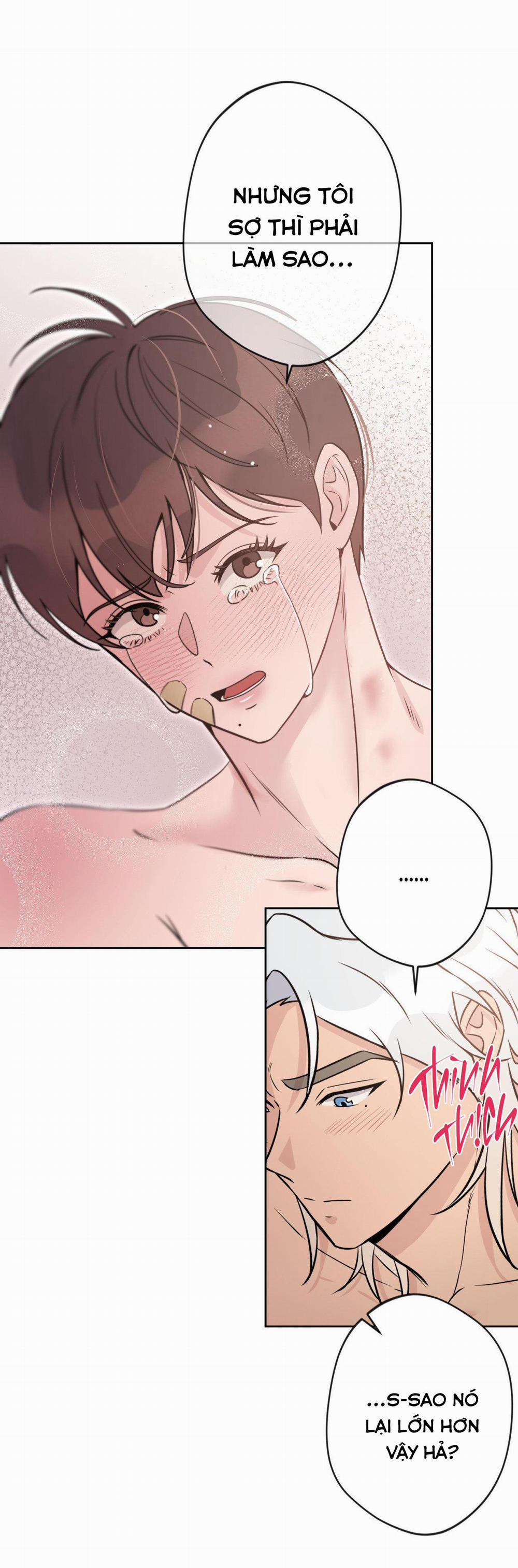 Nụ Hôn Thiên Thần 7 trang 12