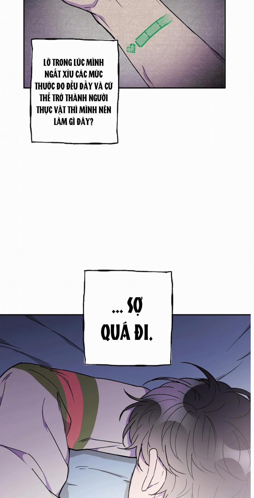 Nụ Hôn Và Cái Chết 12 trang 24