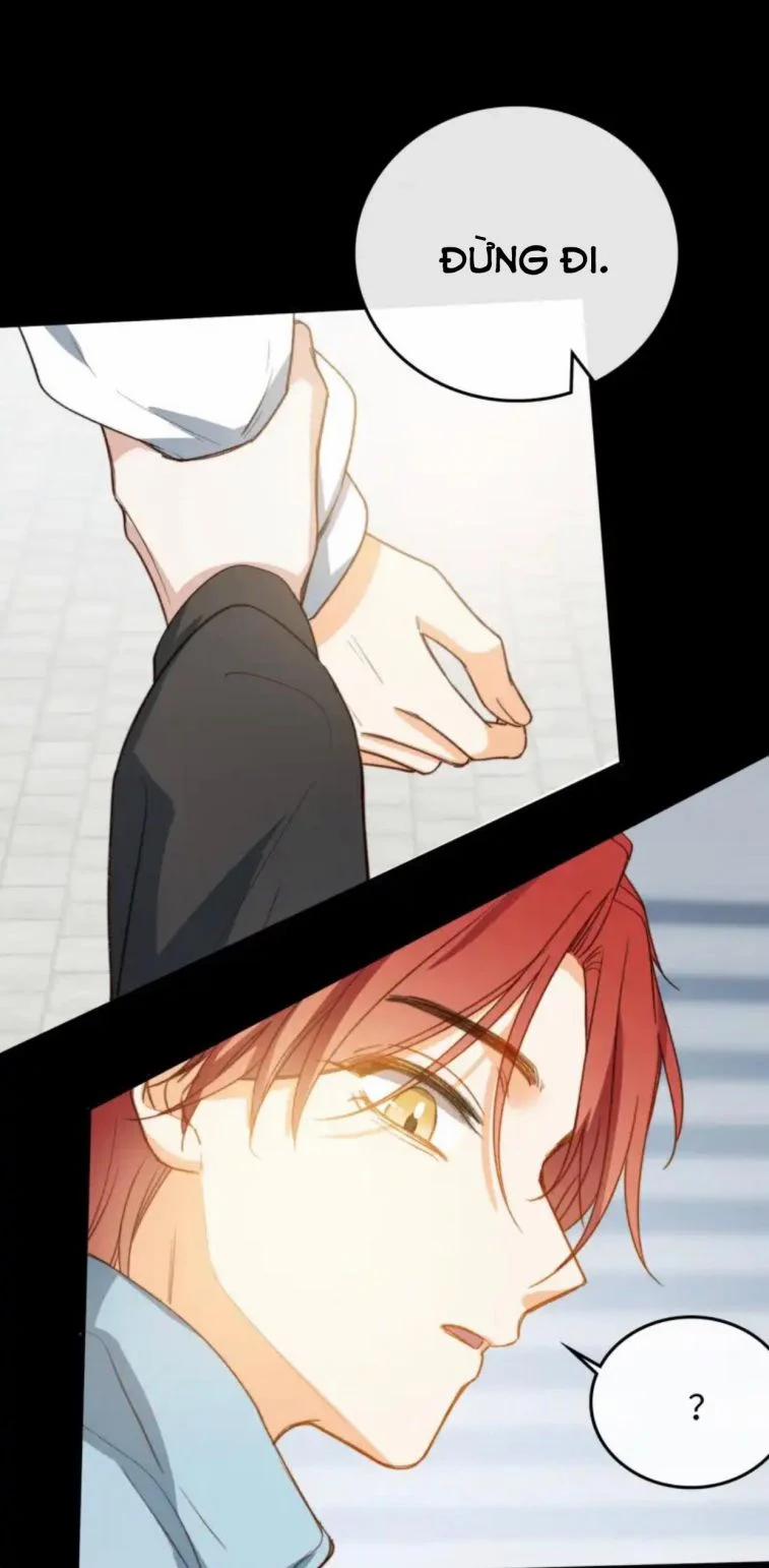 Nụ Hôn Vực Thẳm 104 trang 26