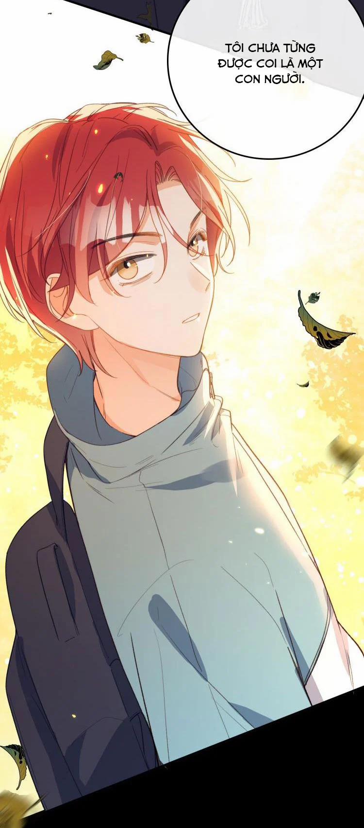 Nụ Hôn Vực Thẳm 105 trang 19