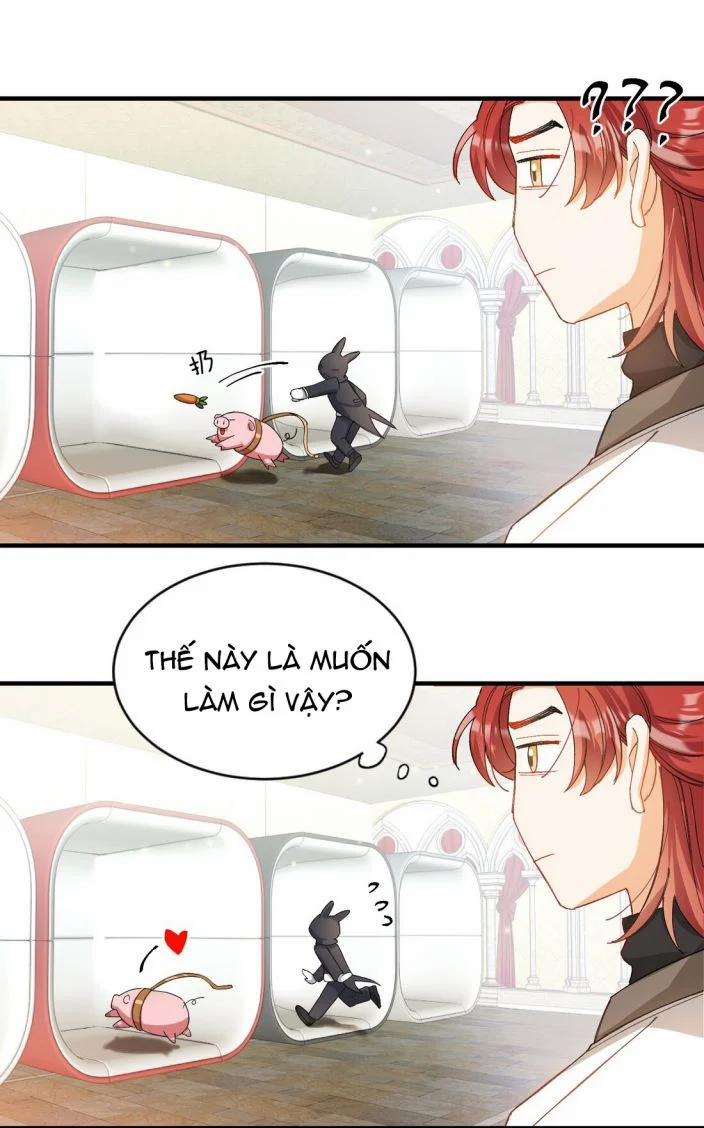 Nụ Hôn Vực Thẳm 13 trang 25