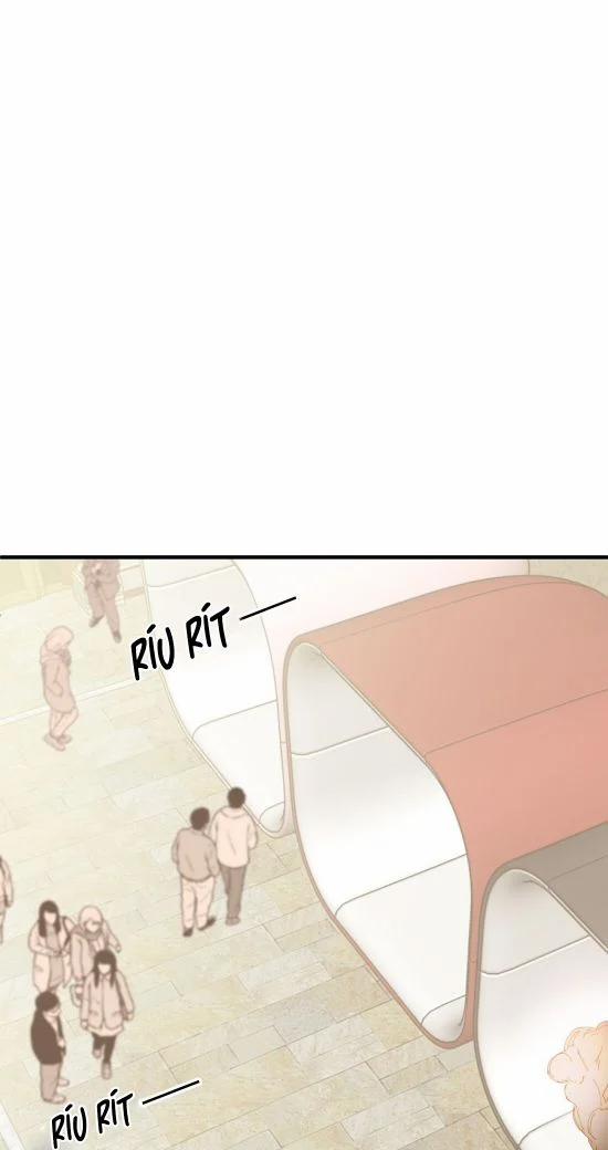 Nụ Hôn Vực Thẳm 19 trang 2