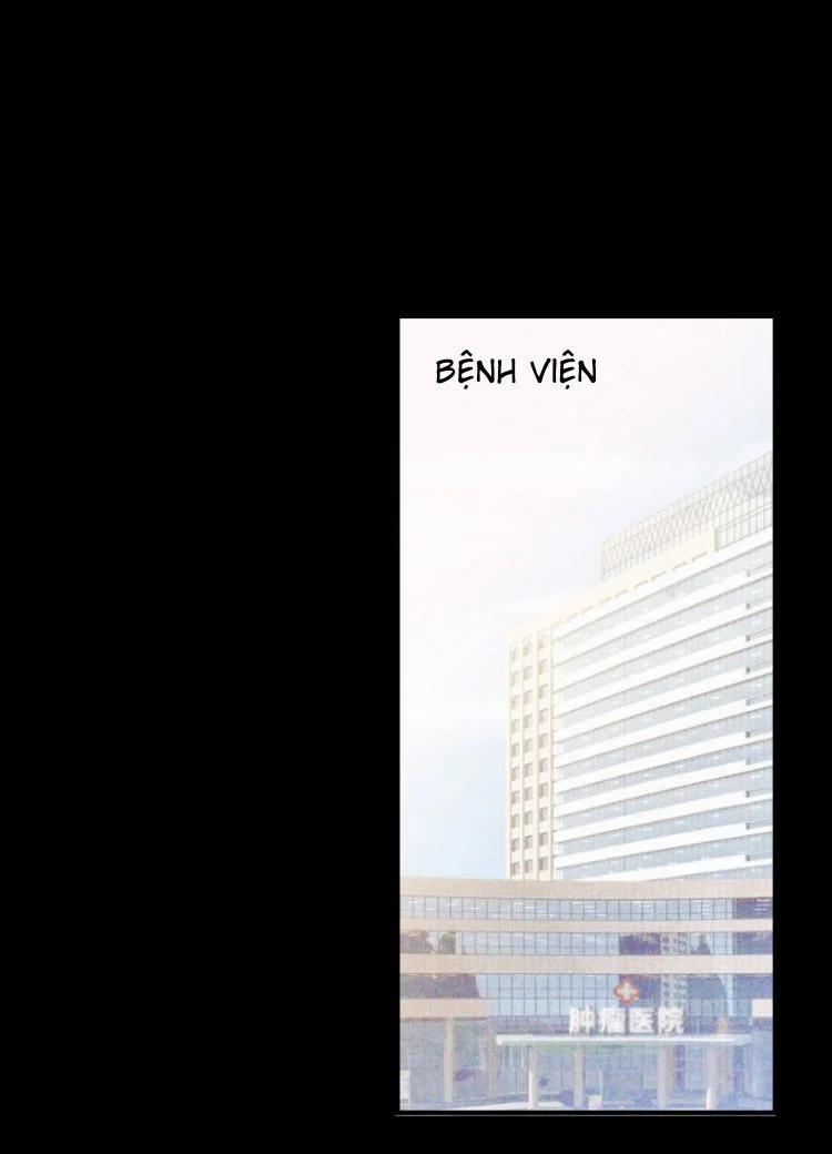 Nụ Hôn Vực Thẳm 42 trang 14