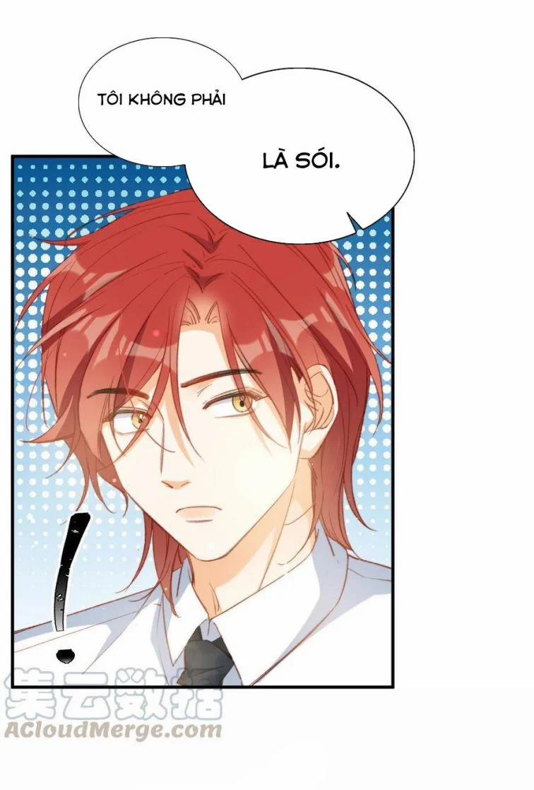 Nụ Hôn Vực Thẳm 56 trang 28