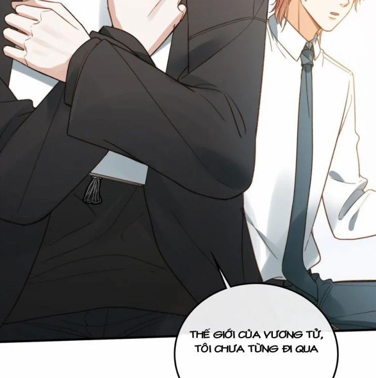 Nụ Hôn Vực Thẳm 80 trang 2