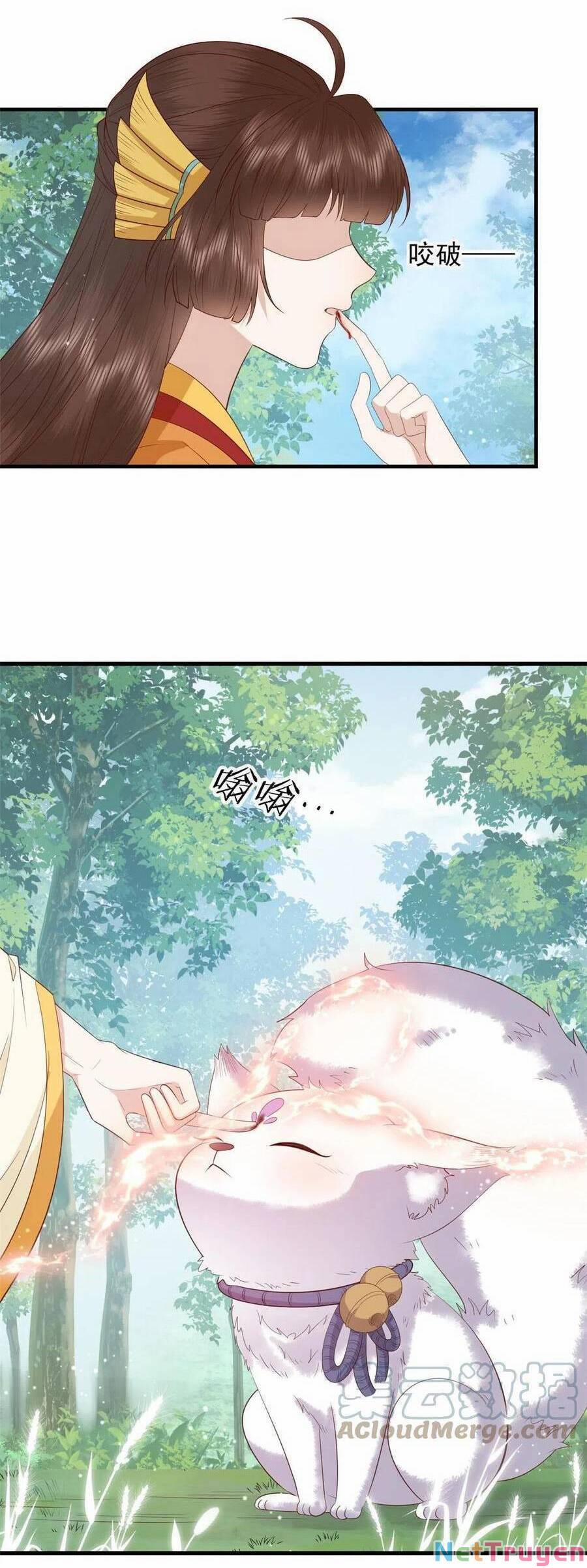 Nữ Phụ Không Thể Chọc Giận 102 trang 21