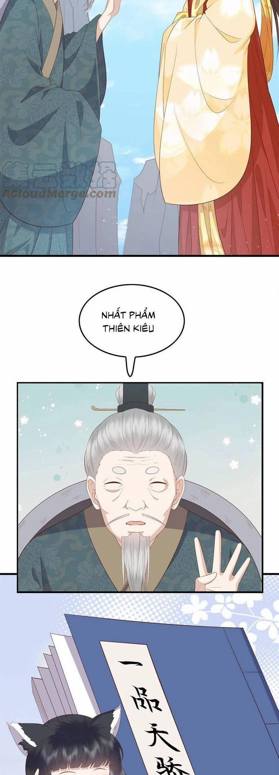 Nữ Phụ Không Thể Chọc Giận 104 trang 24