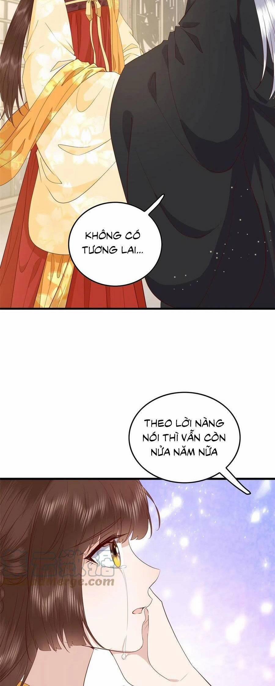 Nữ Phụ Không Thể Chọc Giận 133 trang 24