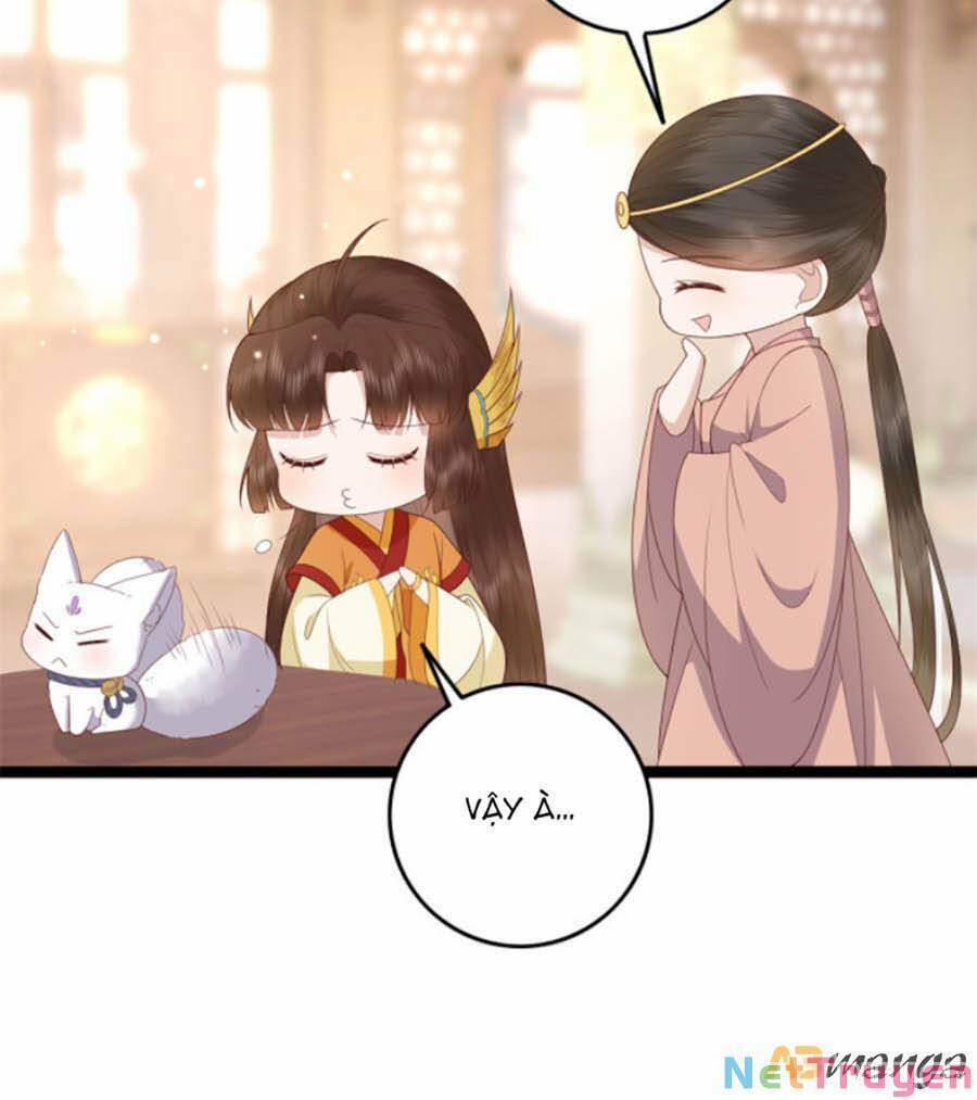 Nữ Phụ Không Thể Chọc Giận 14 trang 11