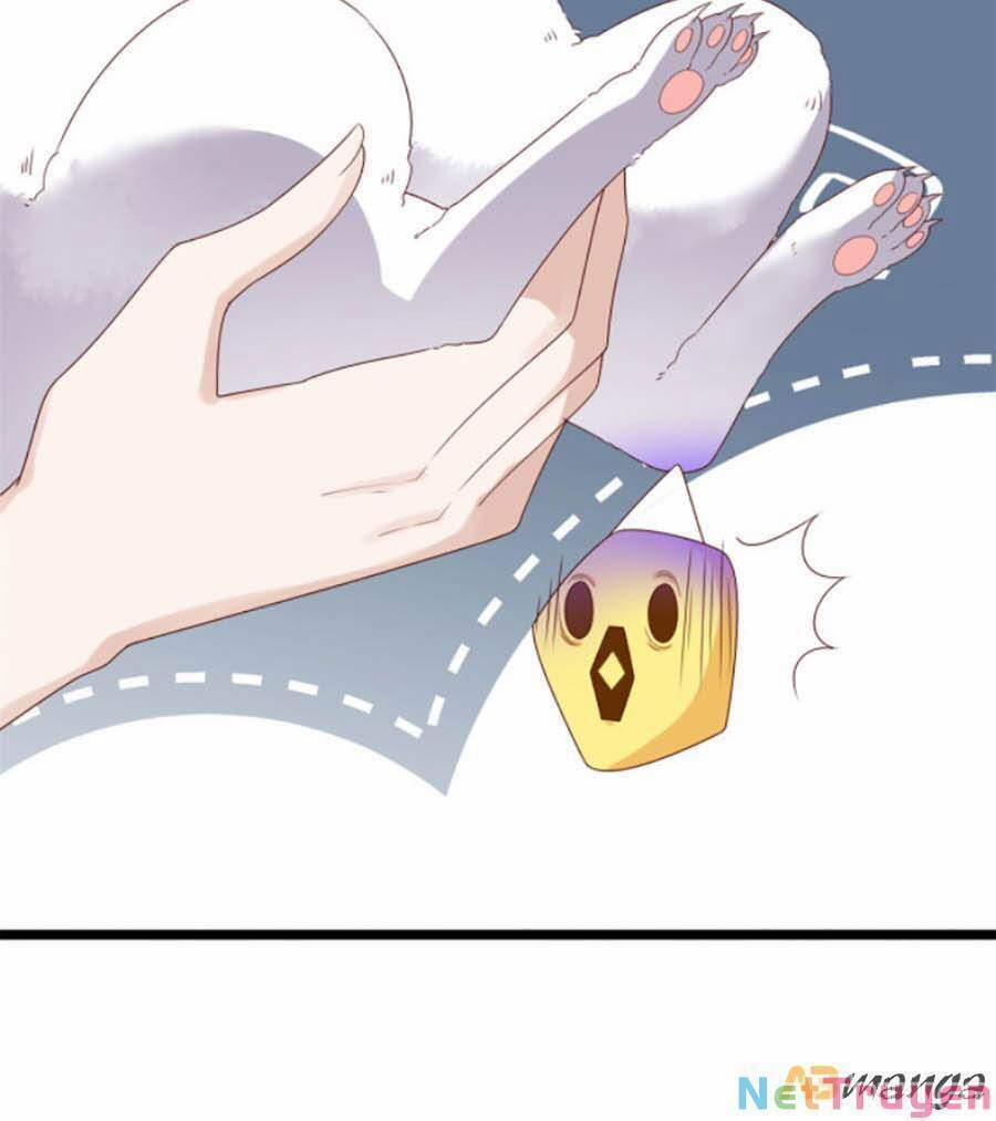 Nữ Phụ Không Thể Chọc Giận 14 trang 7