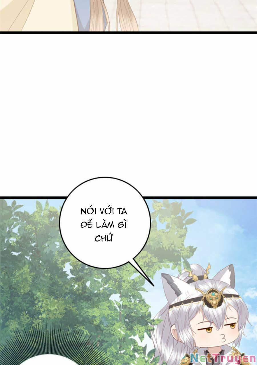 Nữ Phụ Không Thể Chọc Giận 15 trang 10