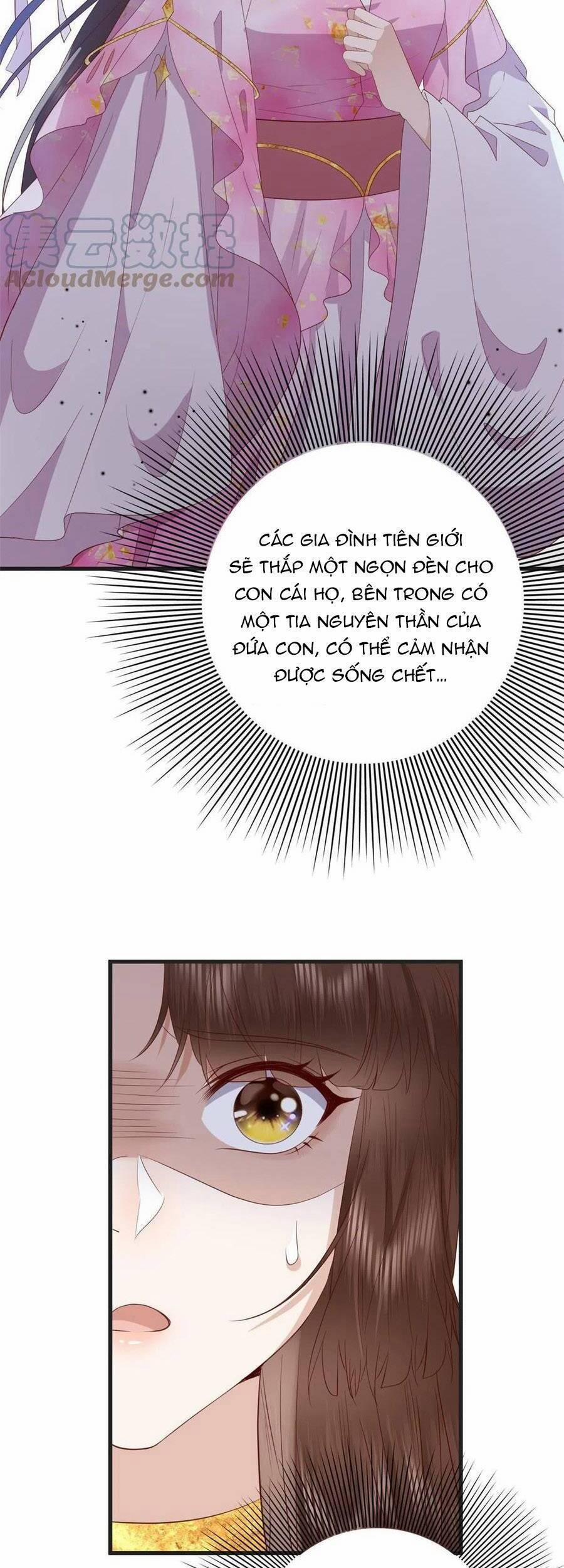 Nữ Phụ Không Thể Chọc Giận 84 trang 21