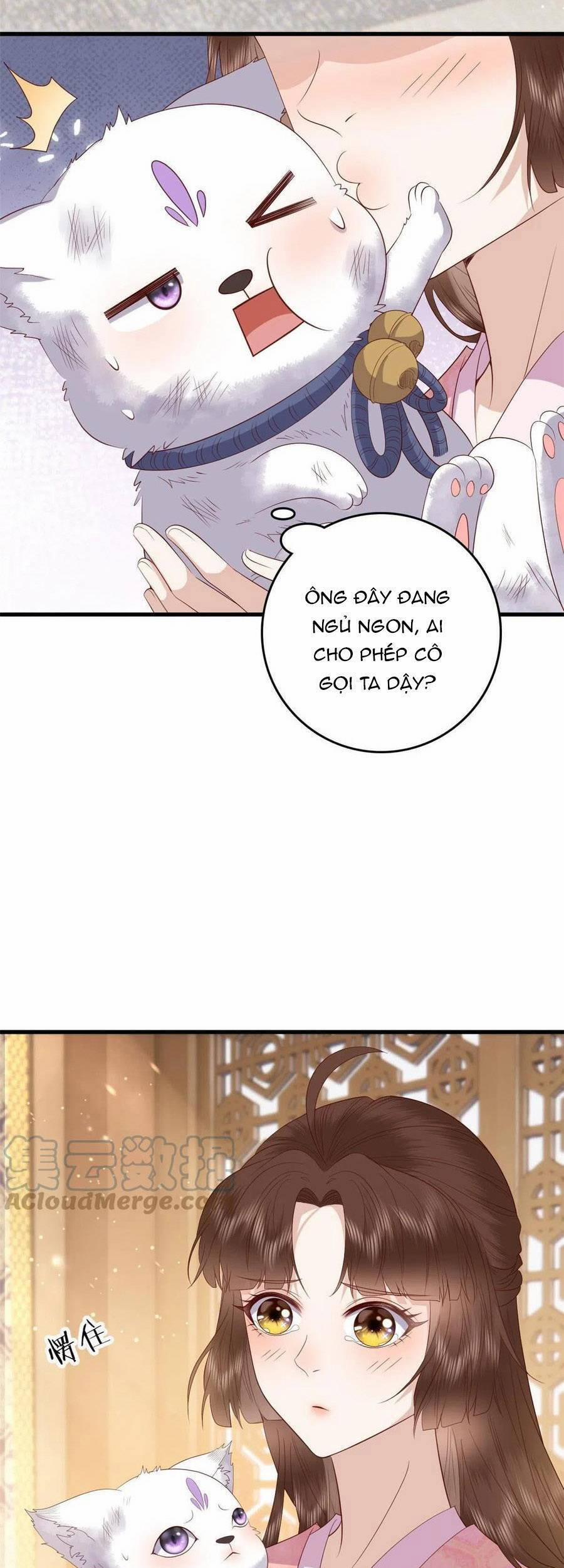 Nữ Phụ Không Thể Chọc Giận 88 trang 5