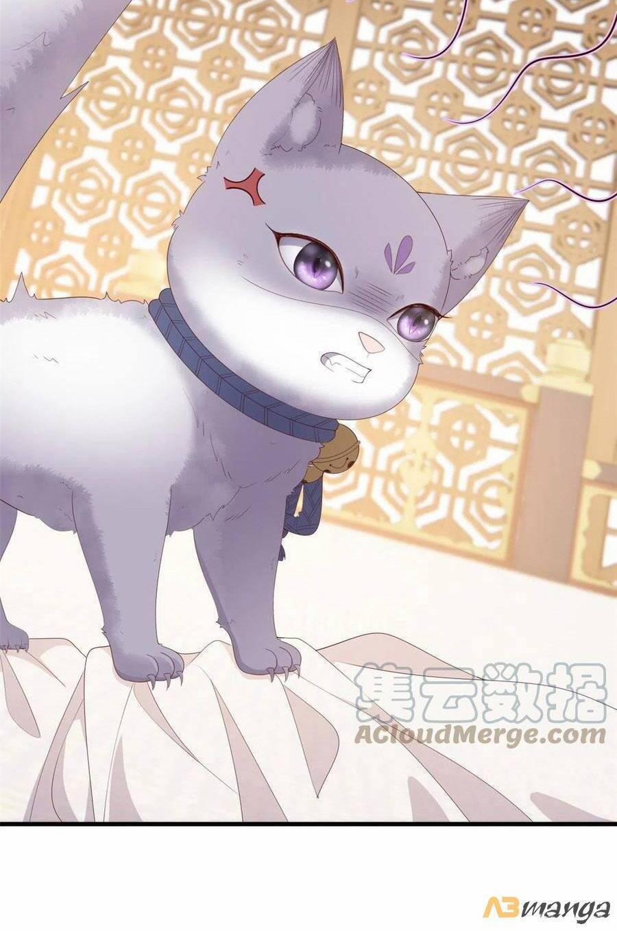 Nữ Phụ Không Thể Chọc Giận 89 trang 24