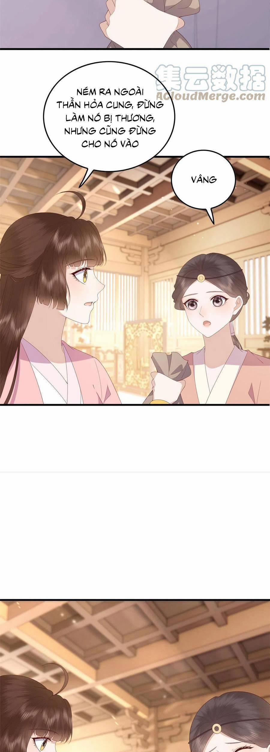 Nữ Phụ Không Thể Chọc Giận 95 trang 14