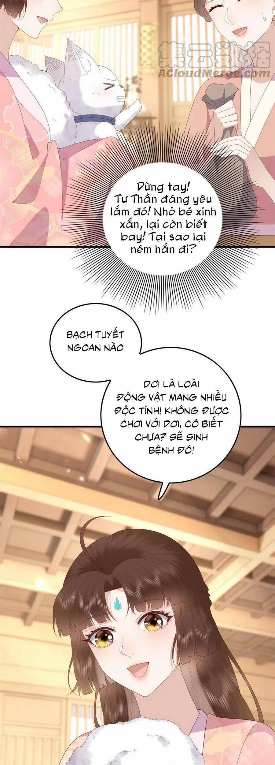 Nữ Phụ Không Thể Chọc Giận 95 trang 15