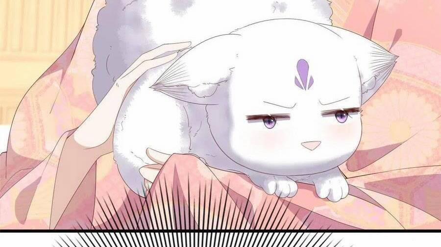 Nữ Phụ Không Thể Chọc Giận 95 trang 16