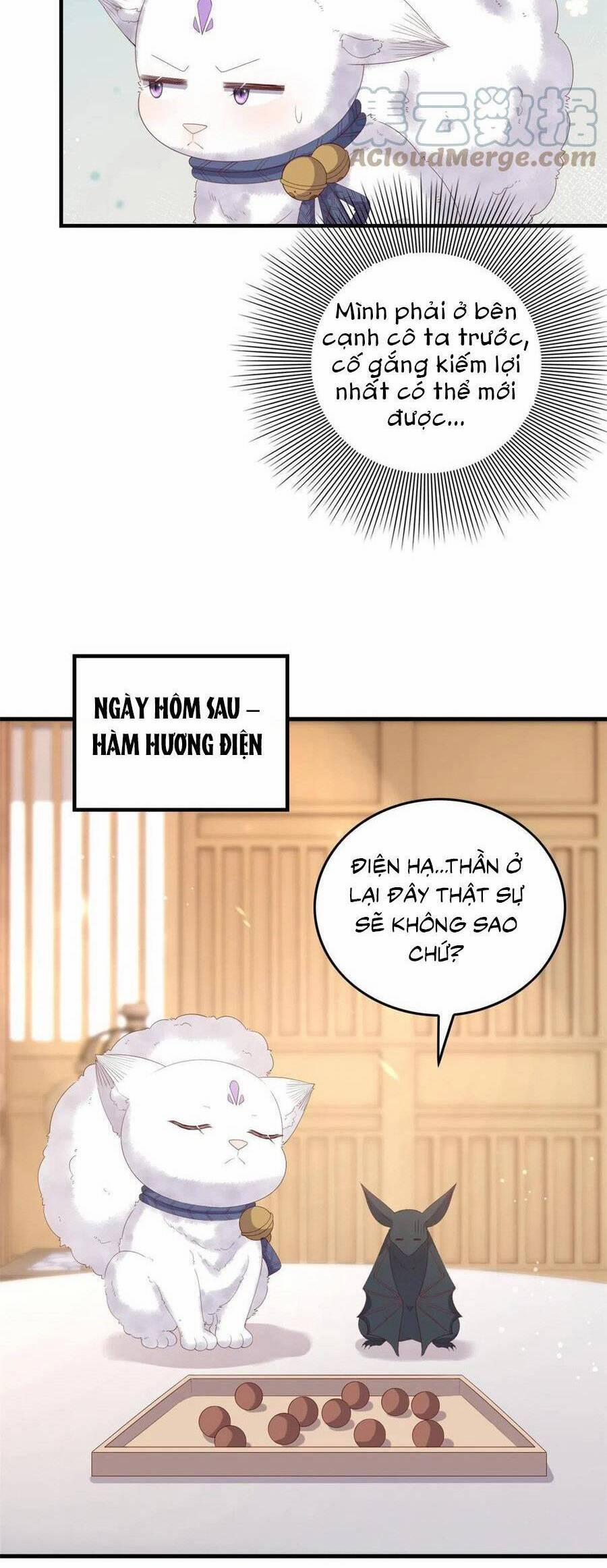 Nữ Phụ Không Thể Chọc Giận 95 trang 5