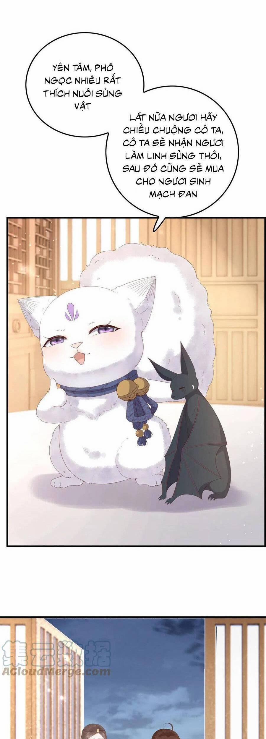 Nữ Phụ Không Thể Chọc Giận 95 trang 7