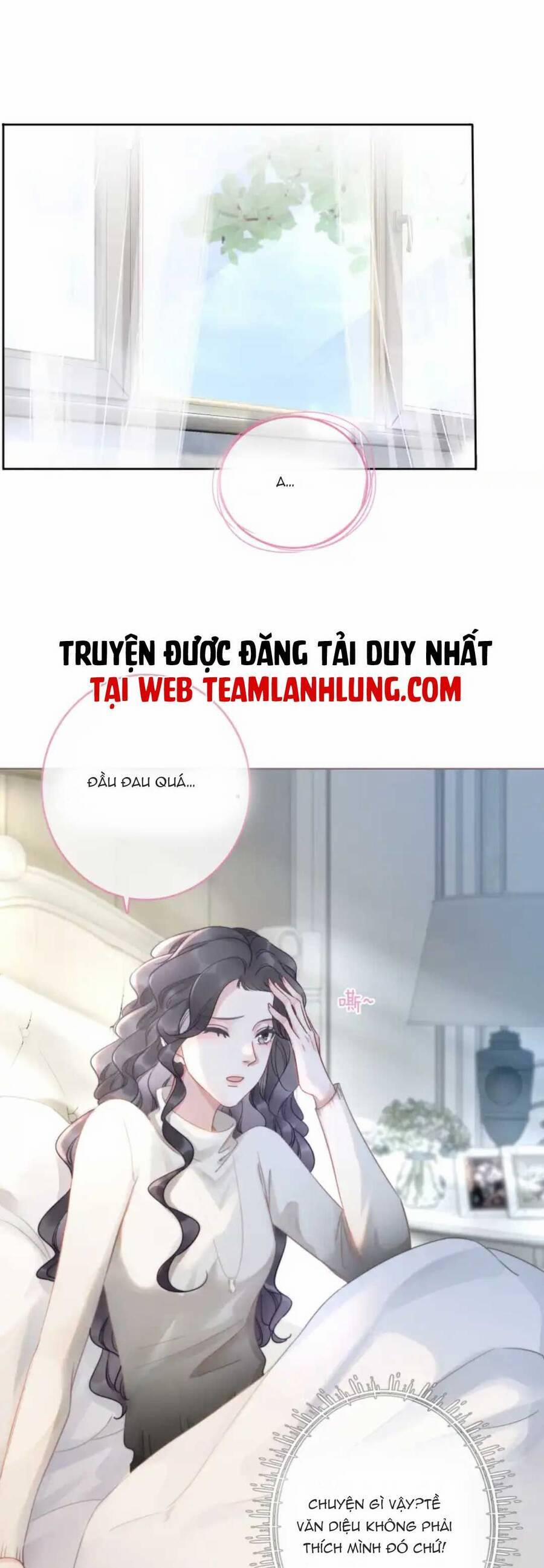 Nữ Phụ Ngày Nào Cũng Muốn Ly Hôn Với Ta 21 trang 1