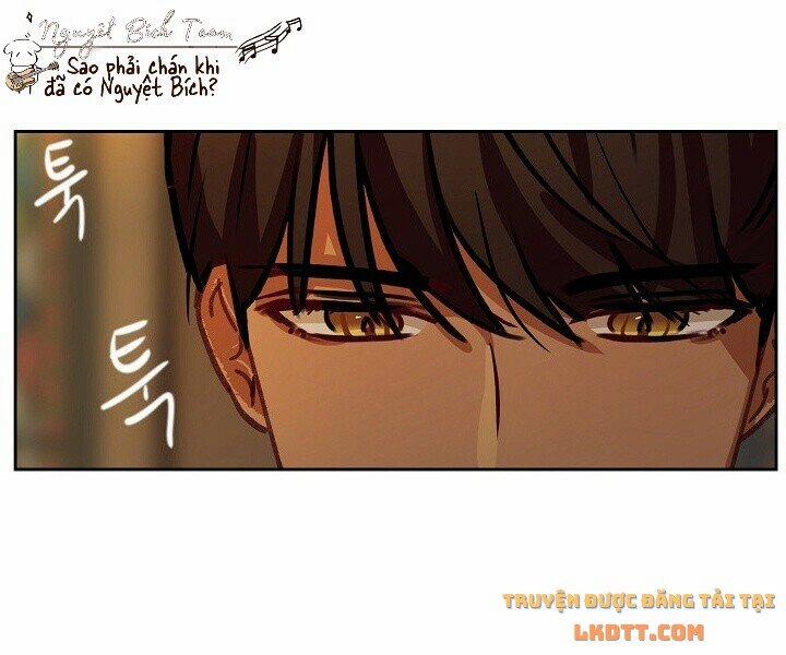 Nữ Thần Đèn Amina 8 trang 31