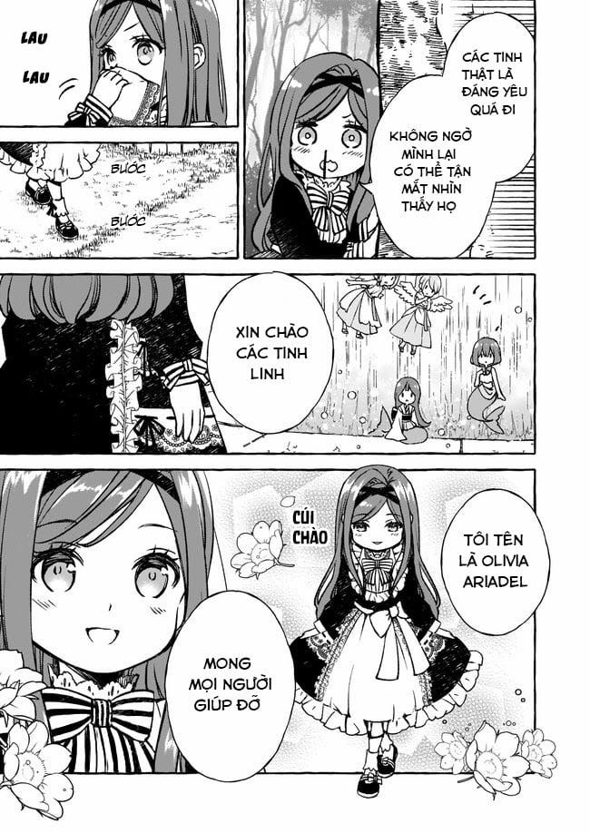 Nữ Tiểu Thư Phản Diện Hôm Nay Cũng Thật Là Hạnh Phúc Vì Người Hâm Mộ Quá Quý Giá 2.1 trang 3