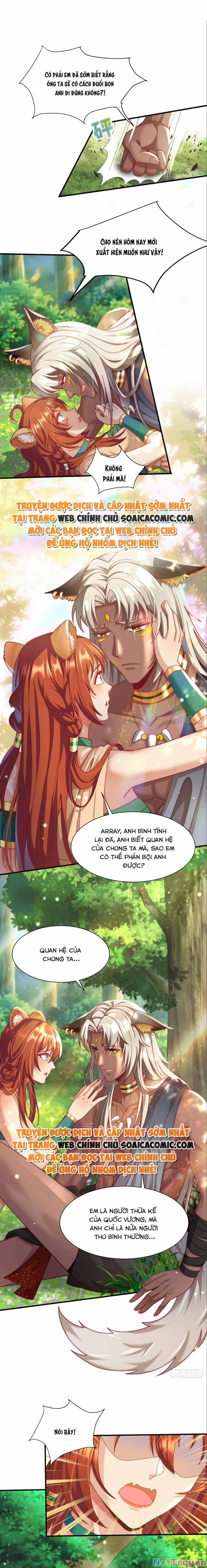 Nữ Vương Thú Thế: Nàng Chọn Yêu Hay Hận 1 trang 3