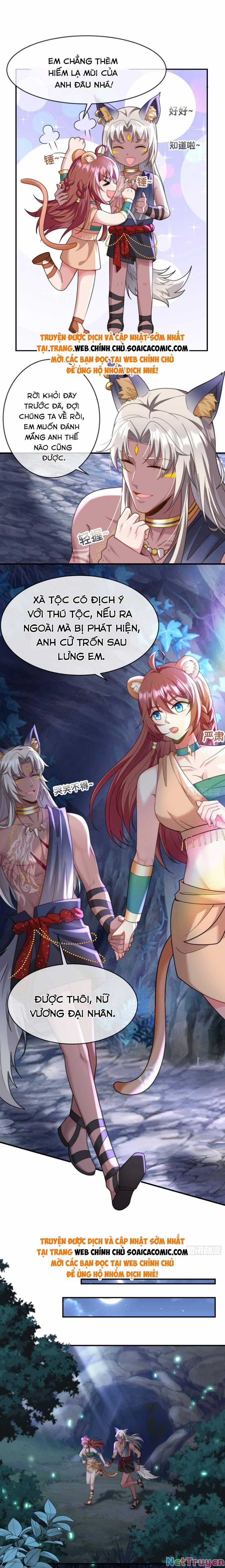 Nữ Vương Thú Thế: Nàng Chọn Yêu Hay Hận 11 trang 4