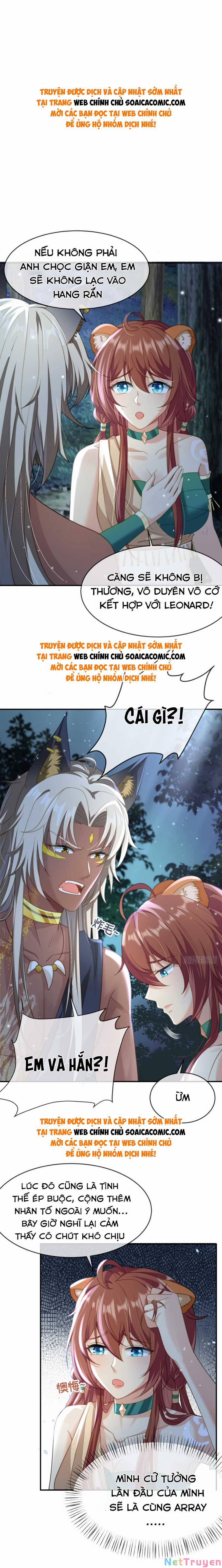 Nữ Vương Thú Thế: Nàng Chọn Yêu Hay Hận 12 trang 0