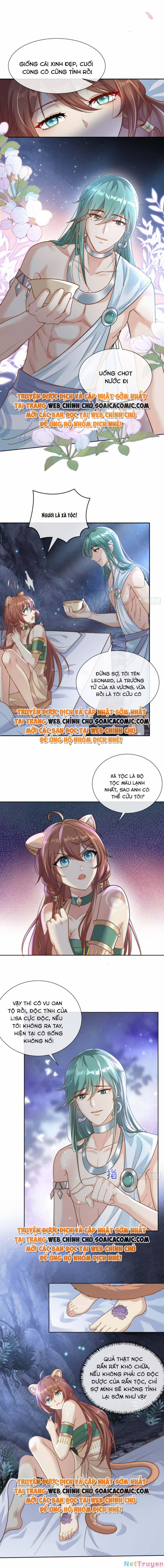 Nữ Vương Thú Thế: Nàng Chọn Yêu Hay Hận 8 trang 0