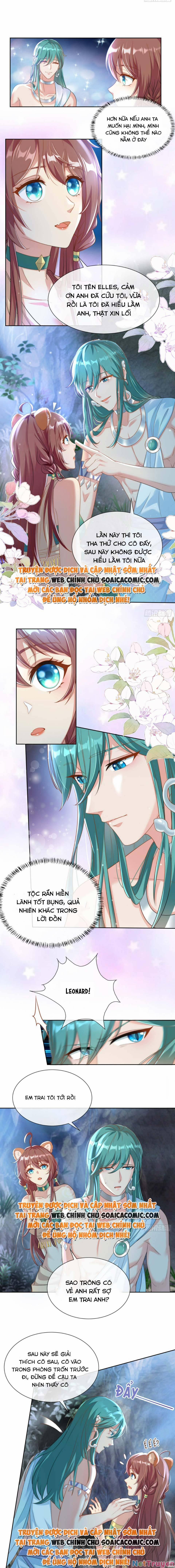 Nữ Vương Thú Thế: Nàng Chọn Yêu Hay Hận 8 trang 1