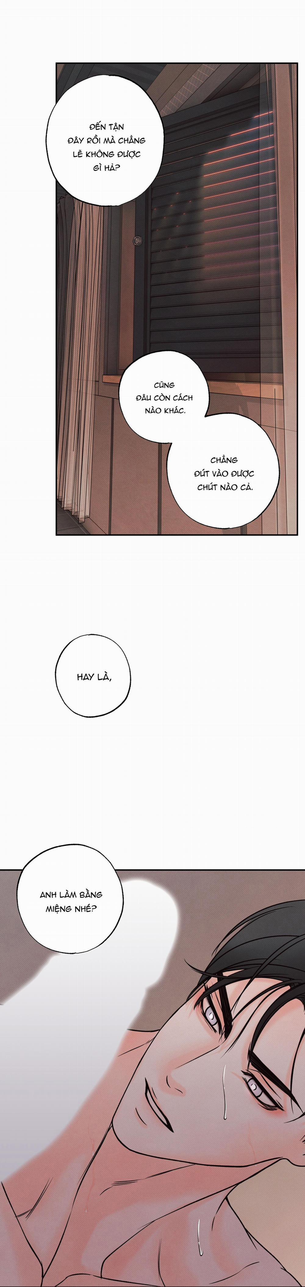 Nửa tỉnh nửa mê 10 trang 21