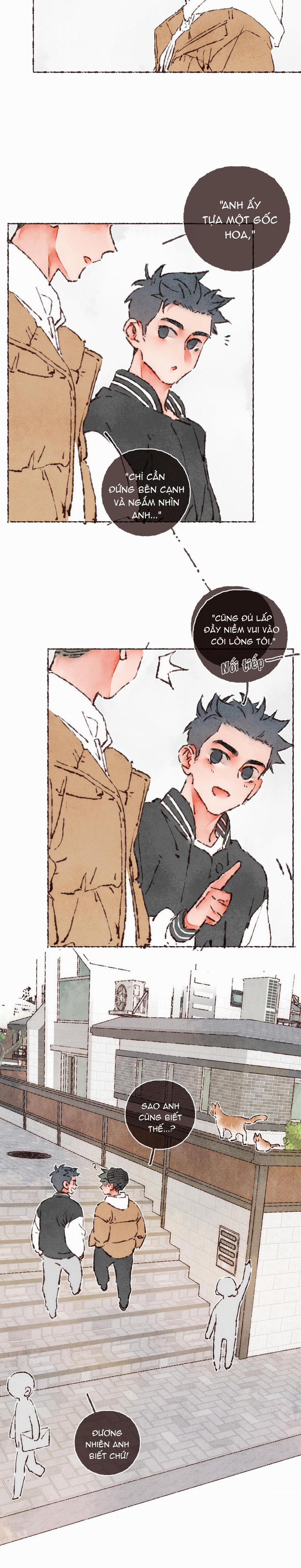 Nước Cờ Xanh Lam (DROP) 39 trang 14